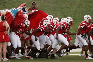 开云体育中国官网-足球动漫作品掀起新一轮热潮，足球 动漫